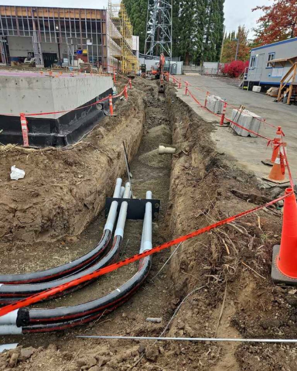 Trenching 08