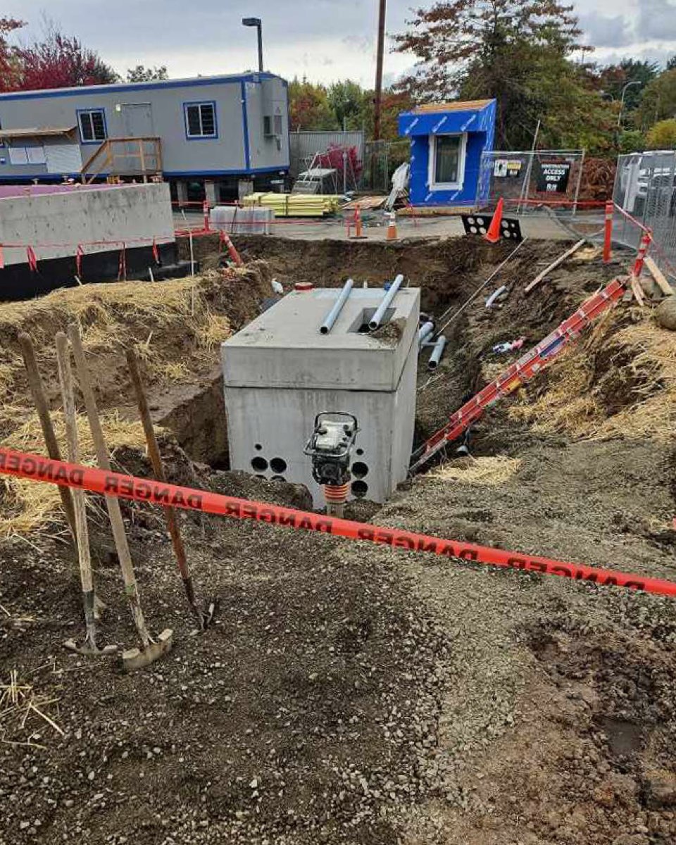 Trenching 11
